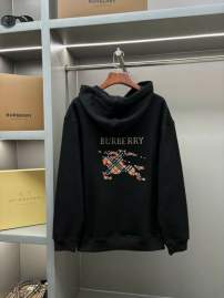 Picture of Burberry Hoodies _SKUBurberryS-2XLaztxB2251859